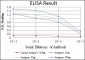 CDK9 Antibody