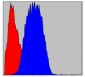 CD133 Antibody