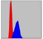 AIF Antibody