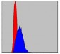 c-Jun Antibody