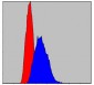 IRAK4 Antibody