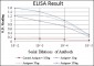 CEBPB Antibody