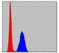 MAPK3 Antibody