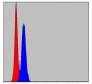 PHB Antibody