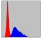 FGG Antibody