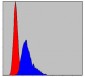 CCT2 Antibody