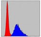 TNNI2 Antibody