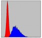 CASP8 Antibody