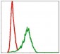 DLK1 Antibody