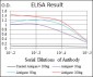 UBE2I Antibody