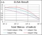 MSH6 Antibody