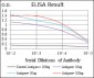 G6PD Antibody