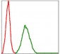 BMI1 Antibody