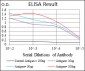 G6PD Antibody