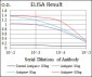 MBP Antibody