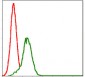 GSTM1 Antibody