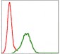 CD9 Antibody