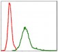 BIRC5 Antibody