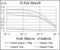 NEFL Antibody