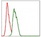 NEDD8 Antibody