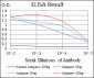 RPS6KB1 Antibody