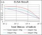 RAF1 Antibody