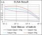 FOXO1 Antibody