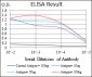 PBK Antibody