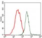human Splunc2 Antibody