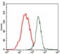 human Splunc2 Antibody