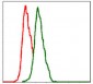 ITGB1 Antibody