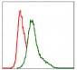 ITGB1 Antibody