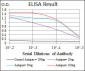 LRP5 Antibody