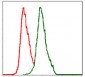 ALPL Antibody