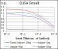 FN1 Antibody