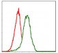 PDX1 Antibody