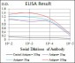 HEXA Antibody