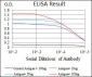 RPA1 Antibody