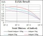 CK5 Antibody