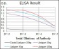 troponin T2 Antibody