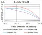 MAP1LC3B Antibody