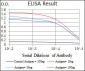 NOS2 Antibody