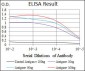 KLK3 Antibody