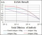 DLL4 Antibody