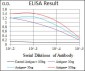 DCX Antibody