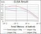 GRIA2 Antibody