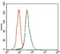 E2F1 Antibody