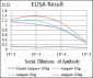 DLL4 Antibody