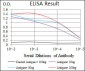 SPI1 Antibody