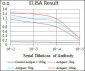 KRT13 Antibody